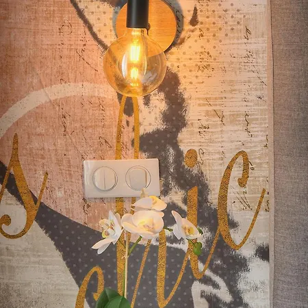 Beletage - 5bdr - 4 Bath - Center - Garage And Ac *