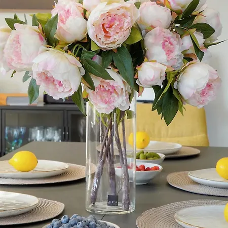 Beletage - 5bdr - 4 Bath - Center - Garage And Ac Apartman *